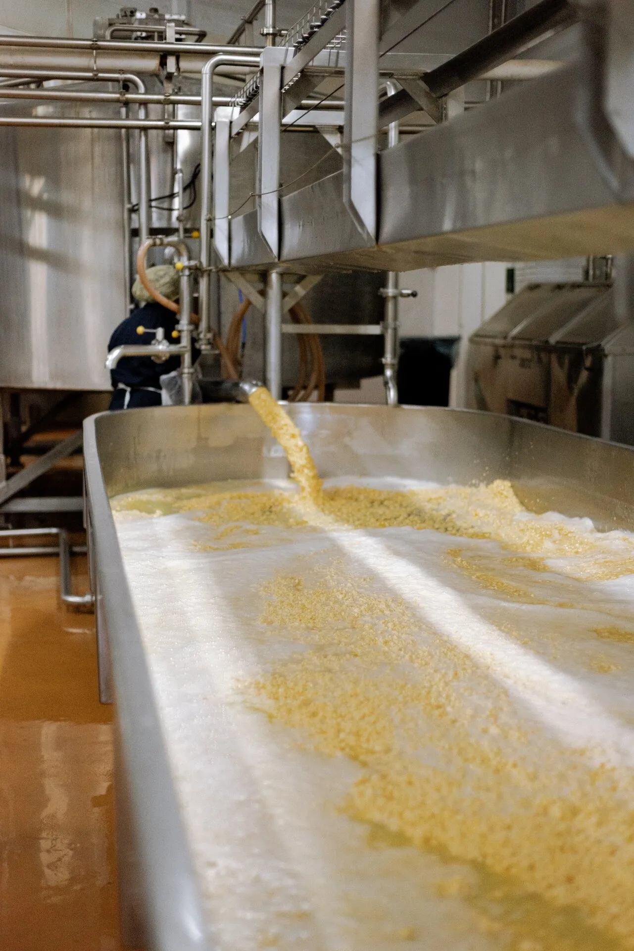 Cheese Factory gallery 1