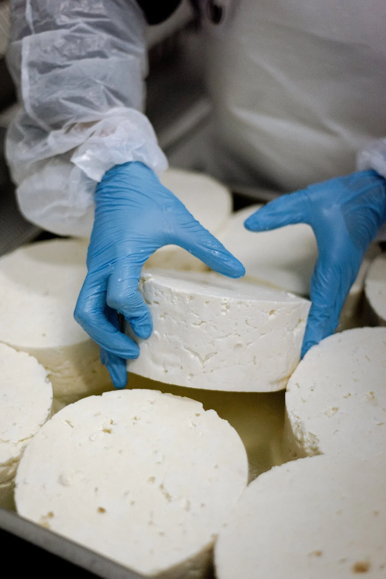 Cheese Factory gallery 3