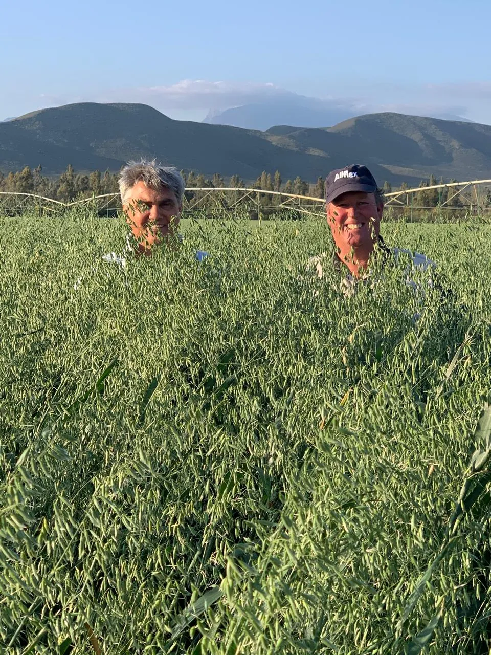 Crop production & feed gallery 1