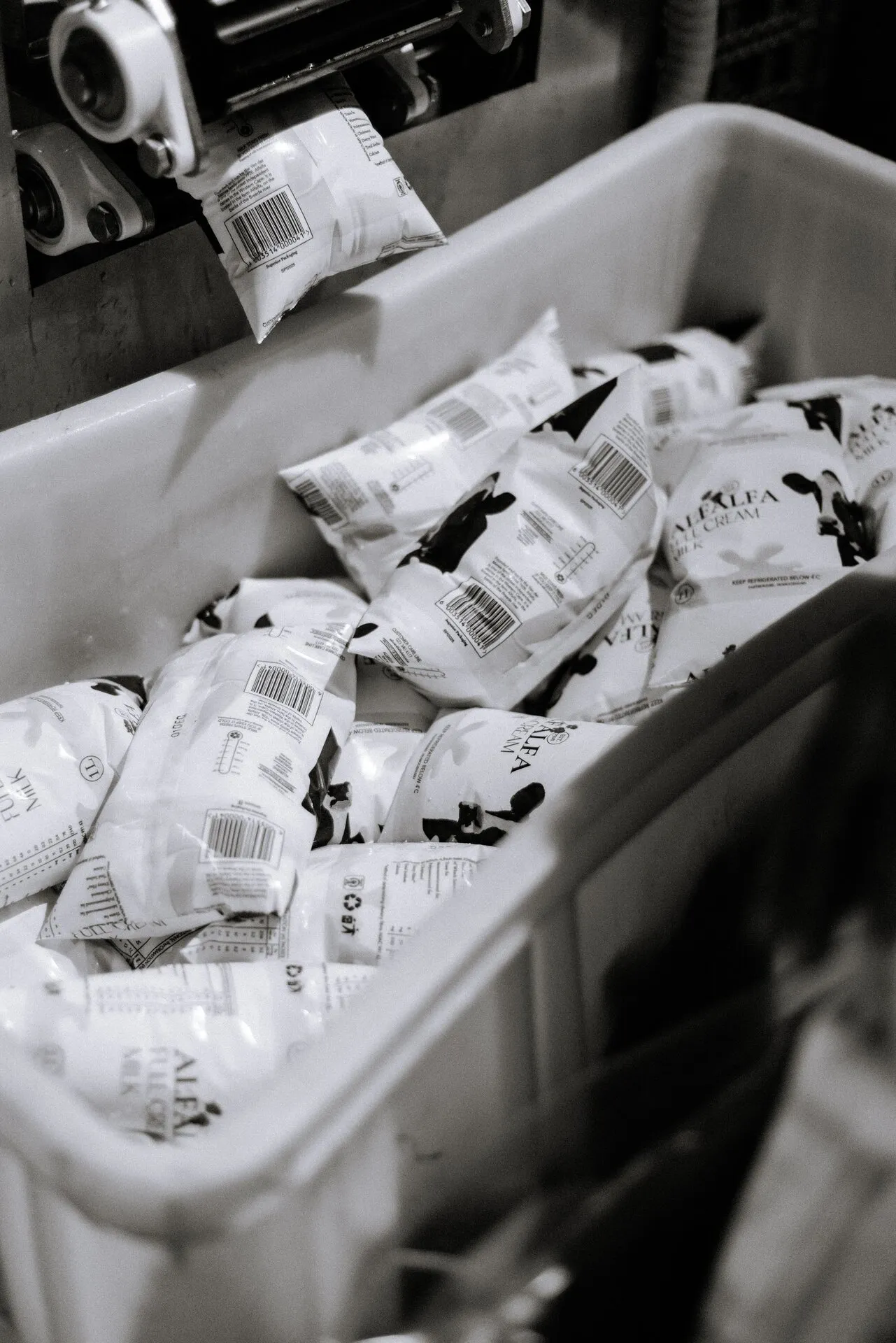 Milk Factory gallery 2